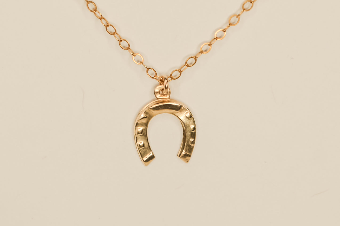 Lucky Horseshoe Necklace
