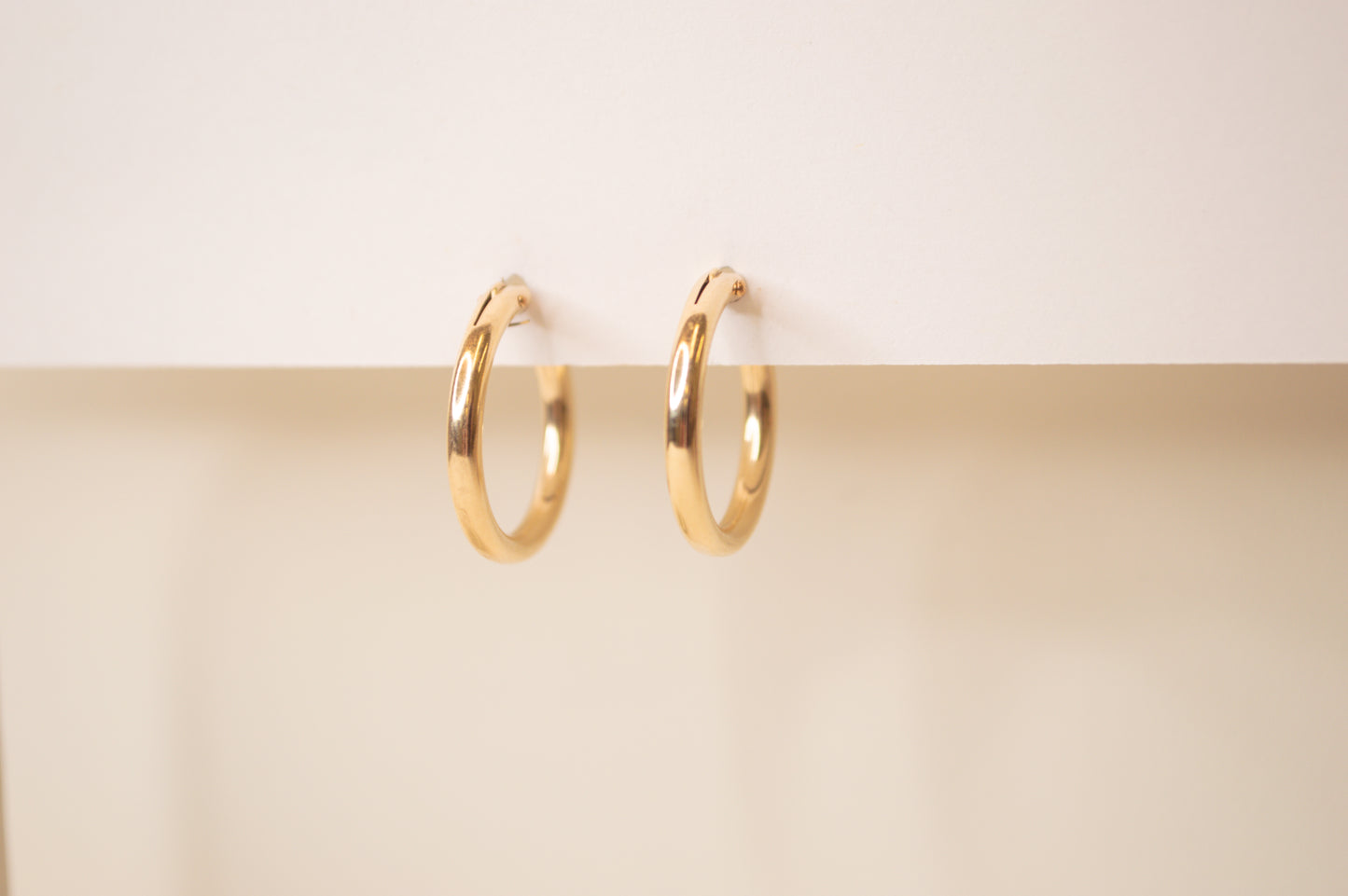 Medium Hinged Hoops