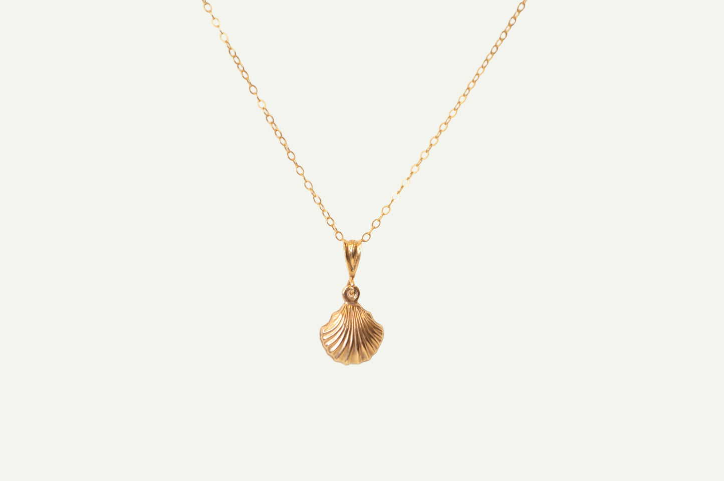 Simple shell necklace