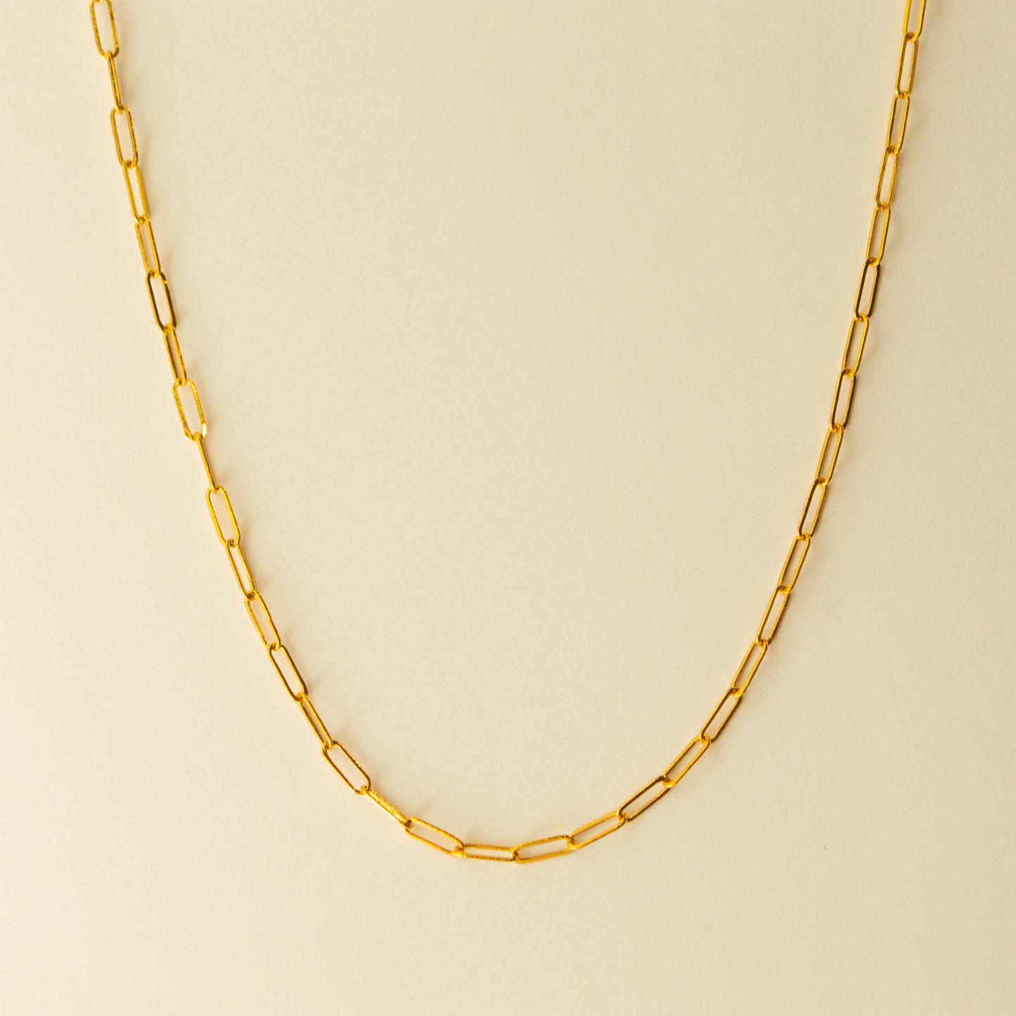 Small Paperclip Necklace