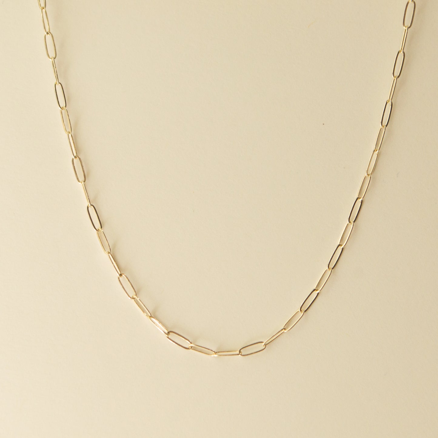 Small Paperclip Necklace