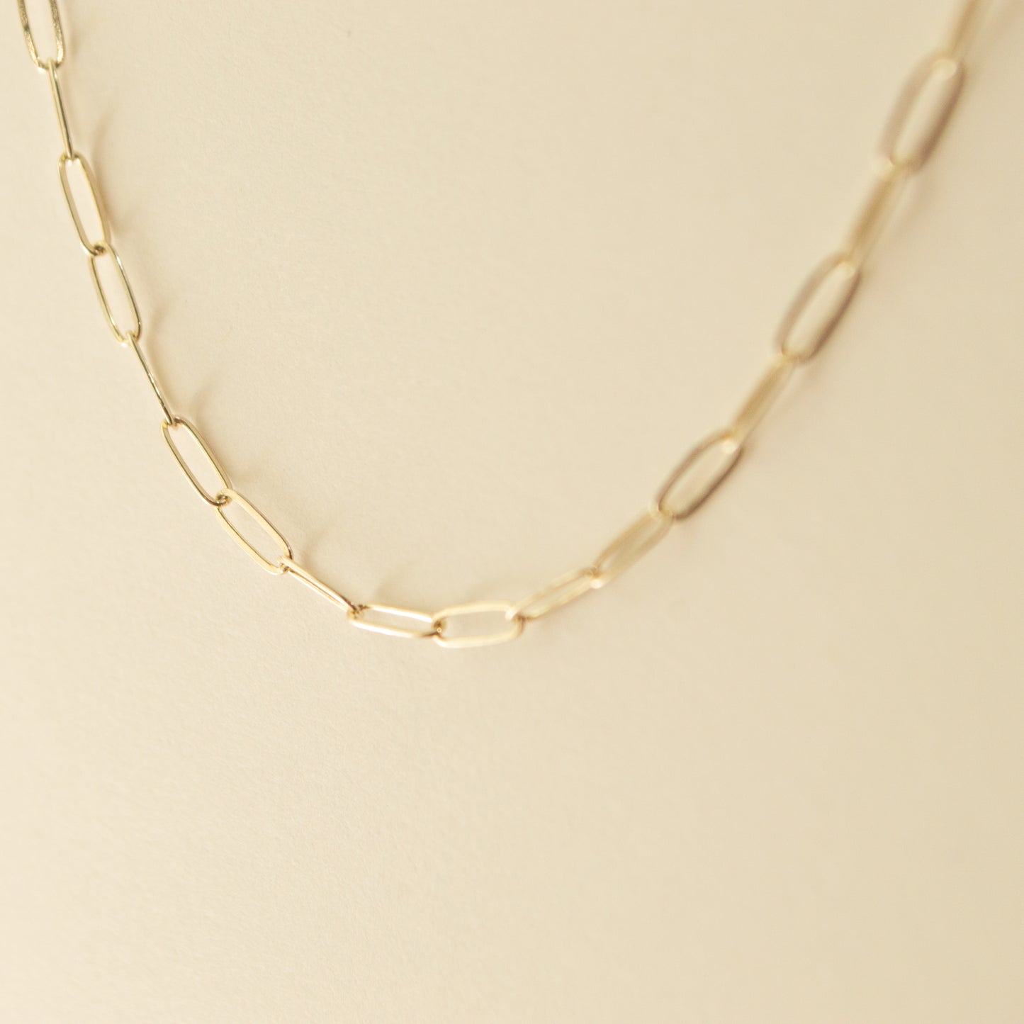 Small Paperclip Necklace