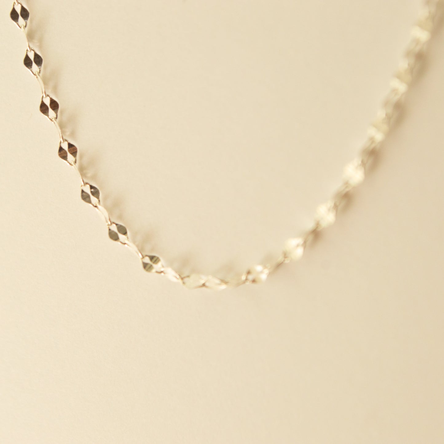 Glisten Chain Necklace