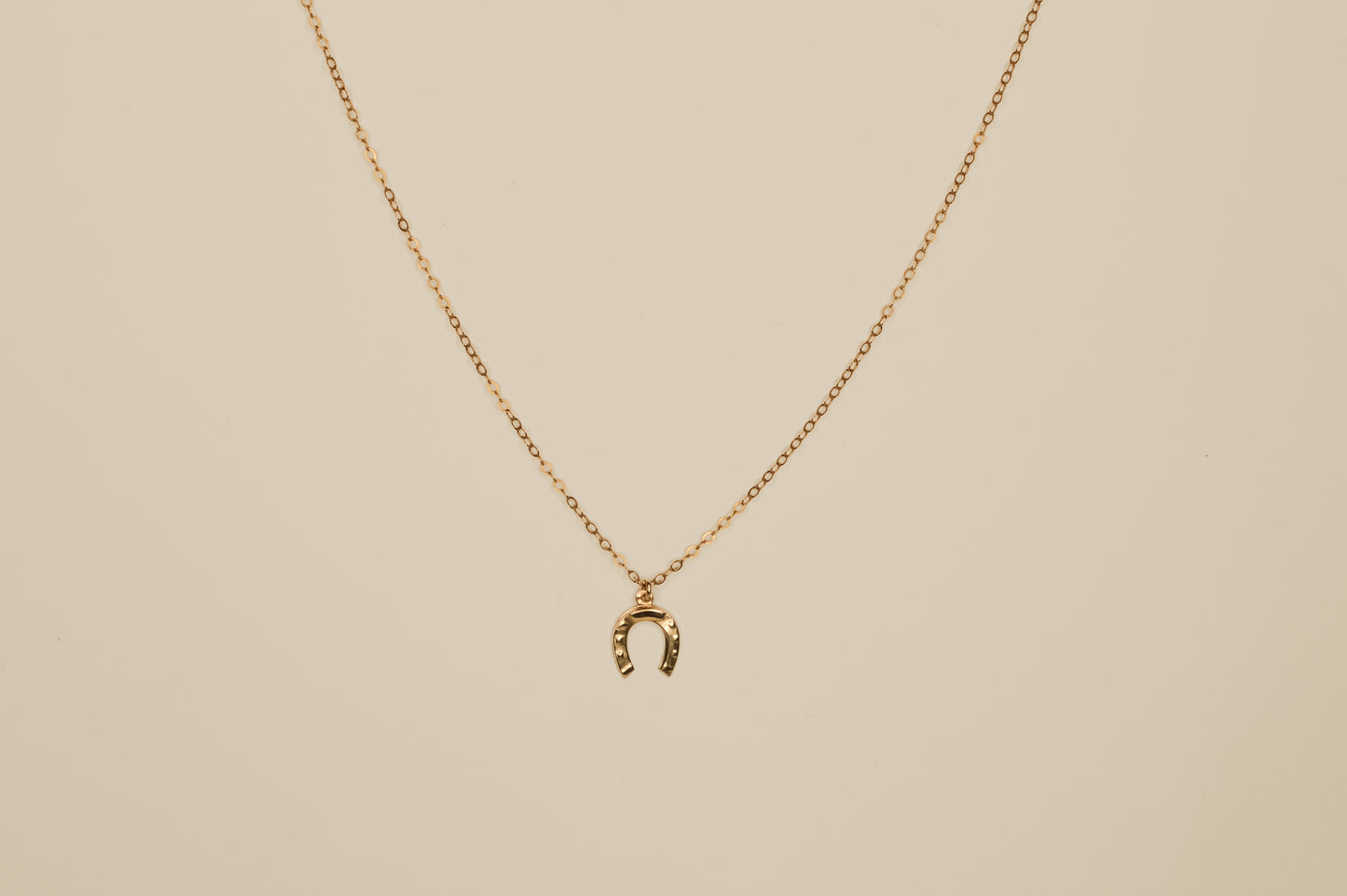 Lucky Horseshoe Necklace