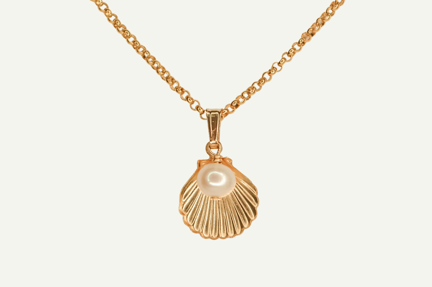 Sea Shell Necklace