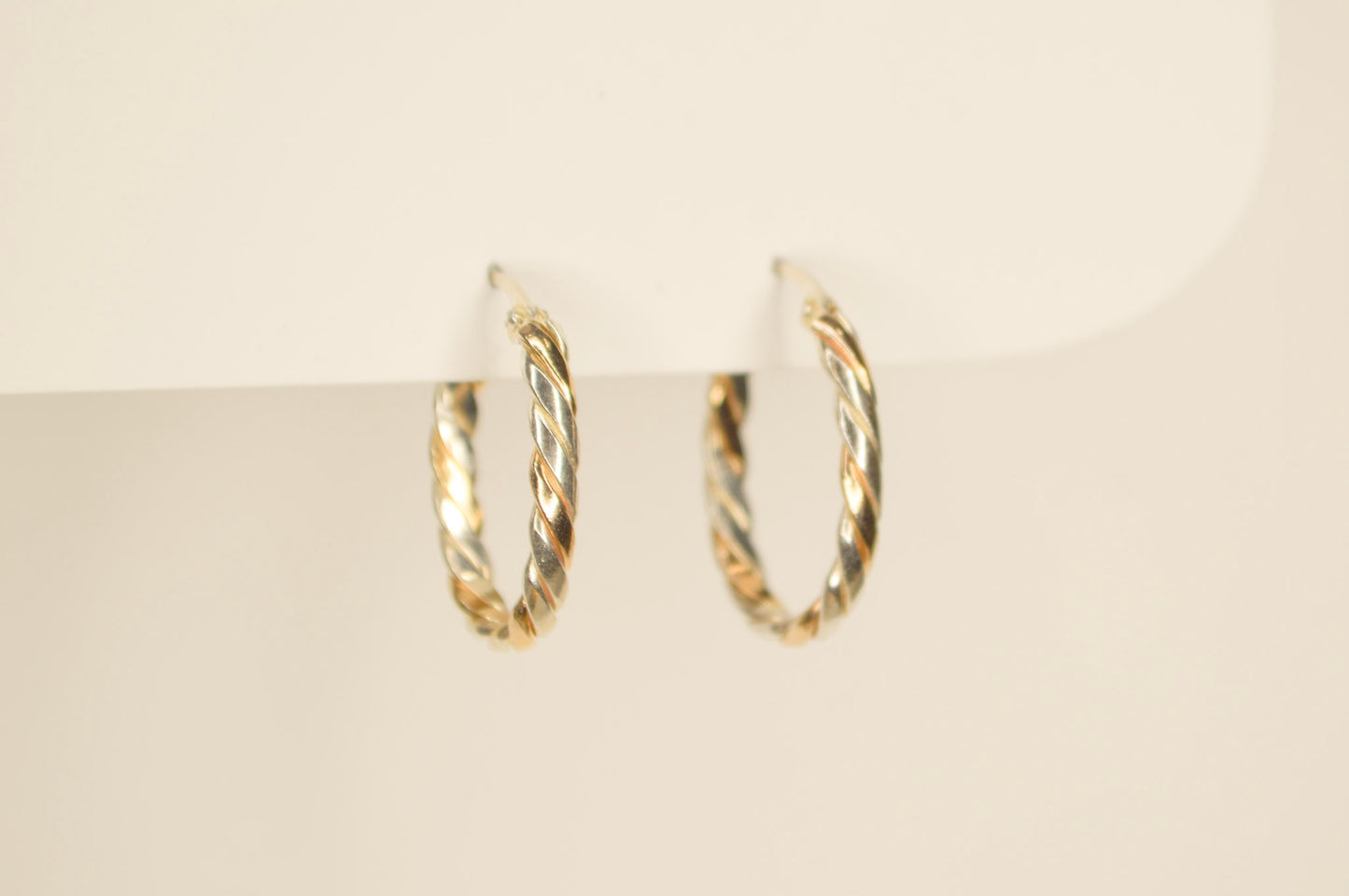 Oval Intertwined Hoops