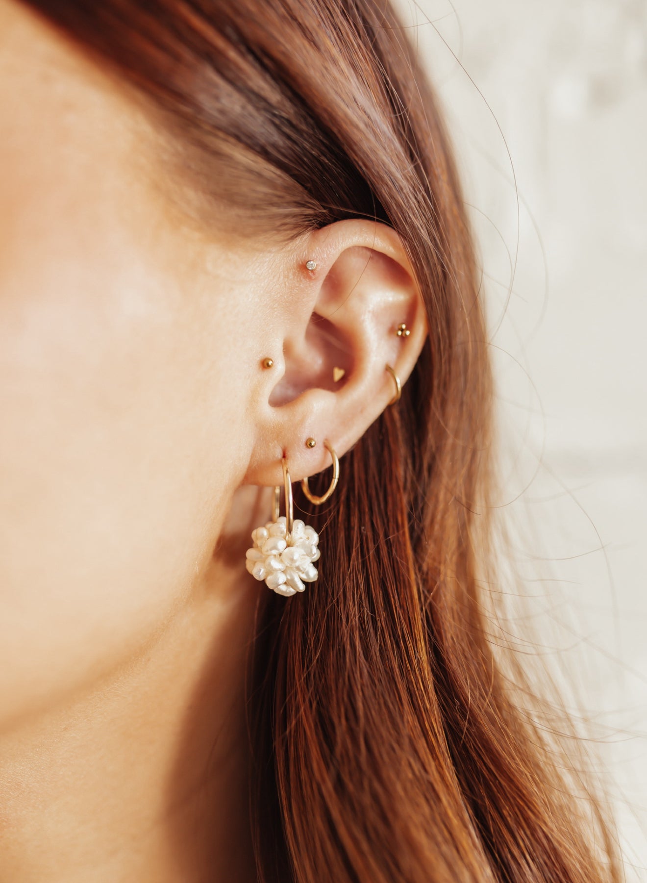 Hydrangea Hoops