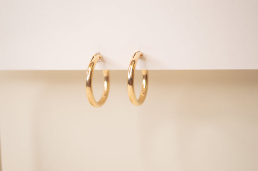 Medium Hinged Hoops