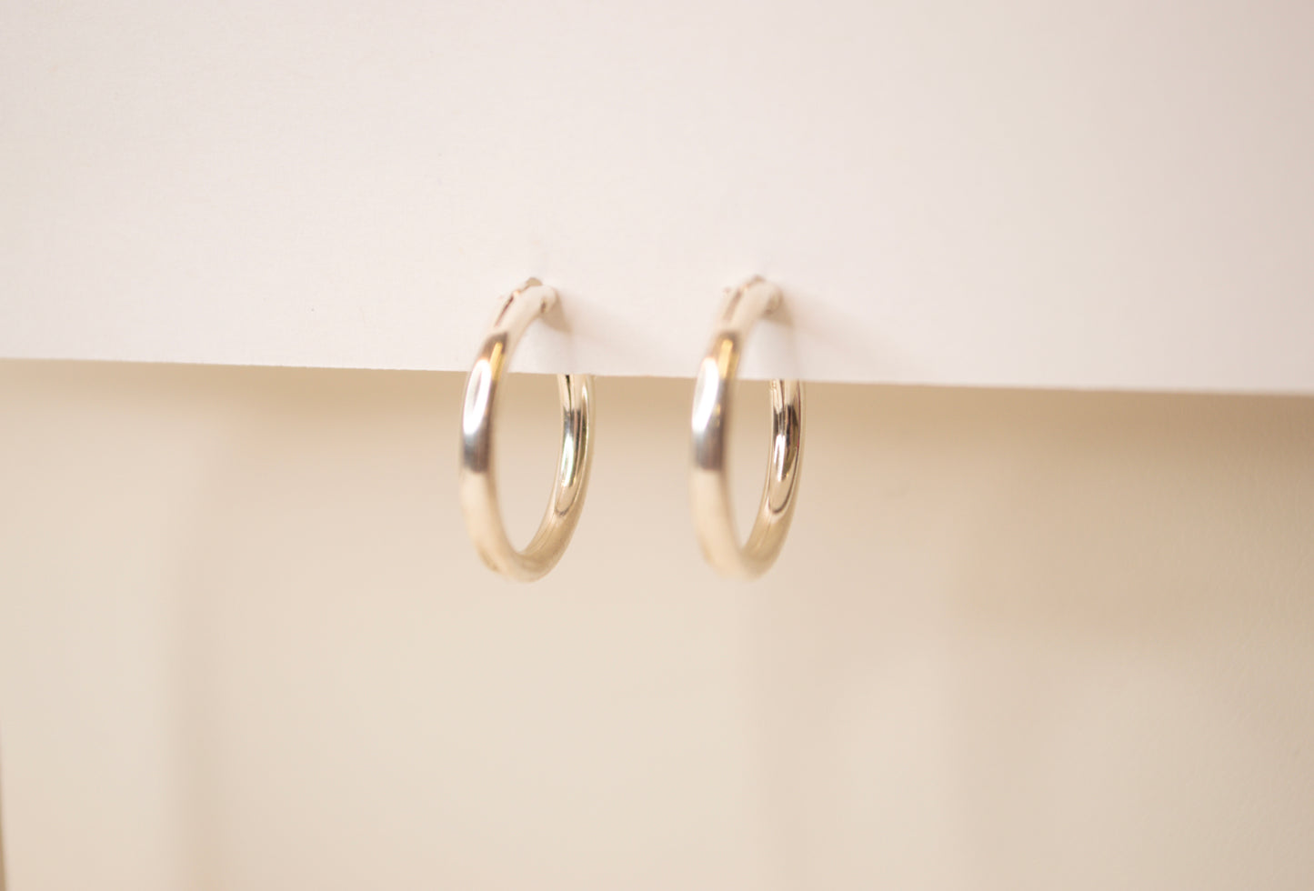 Medium Hinged Hoops