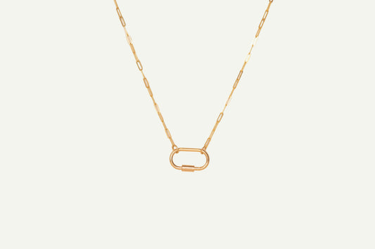Carabiner Link Necklace