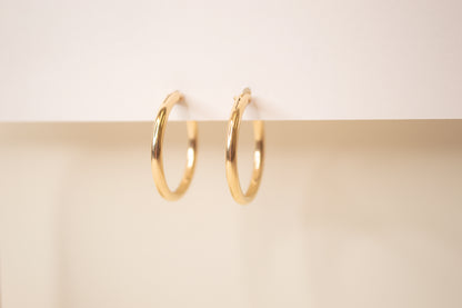Large Hinged Hoops