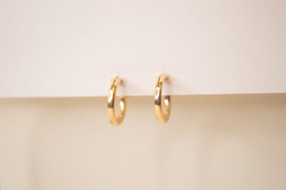 Small Hinged Hoops