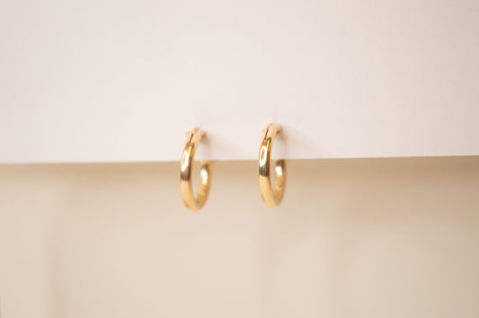 Small Hinged Hoops