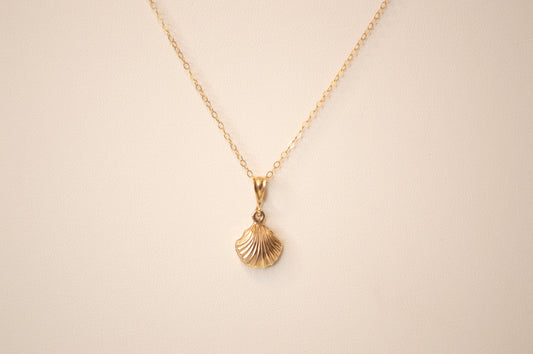 Simple shell necklace