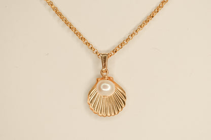 Sea Shell Necklace